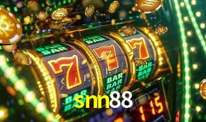 Security Systems snn88